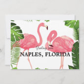 Carte Salutation de Naples, FL (Devant)