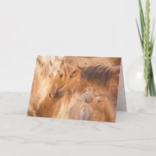 Carte Salutation de plus en plus grande de Bolder (Devant)