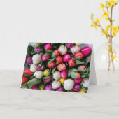 Carte Salutation de printemps Tulip (Fleur jaune)