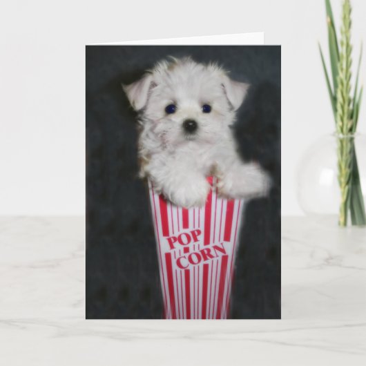 Carte Salutation de soirée cinéma (Devant)