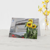 Carte Salutation de tournesol (Fleur jaune)