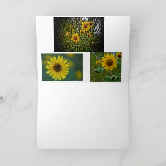 Carte Salutation de tournesol (Intérieur)