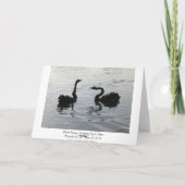 Carte Salutation des cygnes noirs (large frontière) (Dos)