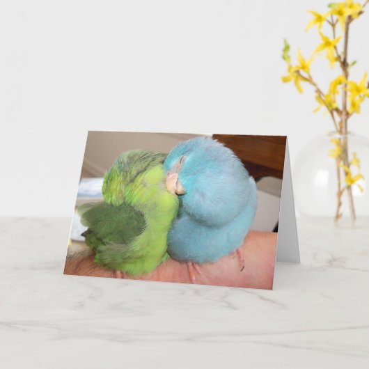 Carte Salutation des inséparables Parrotlet "en sécurité (Fleur jaune)