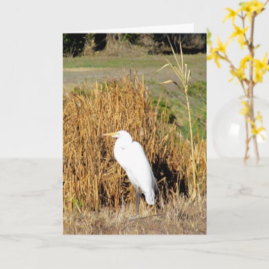 Carte - Salutation - Egret in Grass (Fleur jaune)