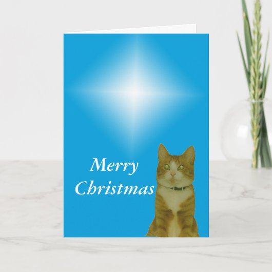 Carte - Salutation - étoile de Noël (Devant)