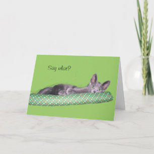 Carte - Salutation - Gris chaton
