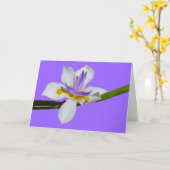 Carte - Salutation - Iris (Fleur jaune)