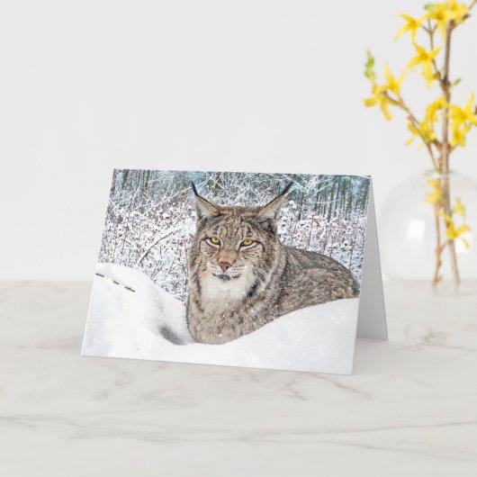 Carte Salutation "L'enfant d'hiver" (Fleur jaune)