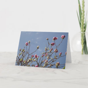 Carte Salutation Magnolia Blank