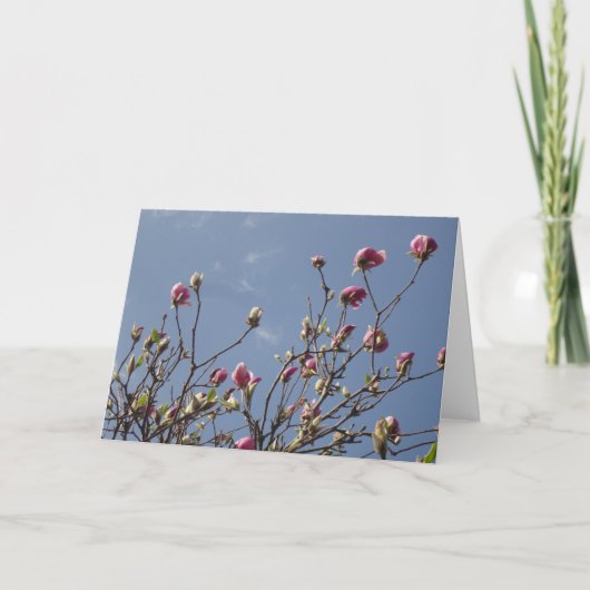 Carte Salutation Magnolia Blank (Devant)