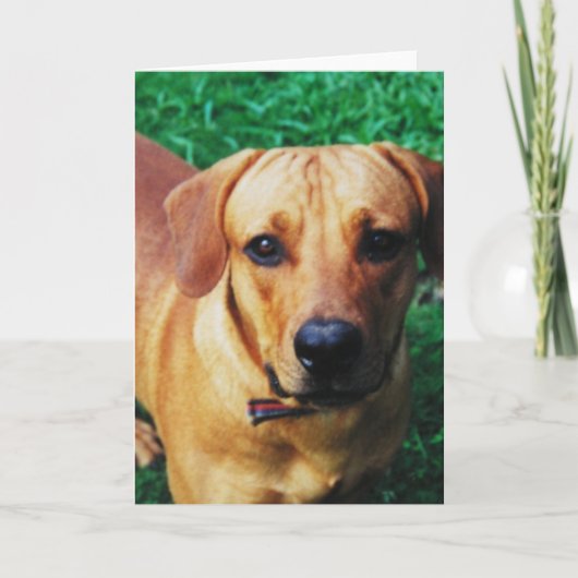 Carte Salutation photo personnalisée (Devant)