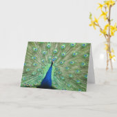 Carte - Salutation - Plumes de queue de paon (Fleur jaune)