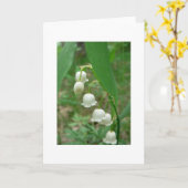 Carte Salutation vide du muguet (Fleur jaune)