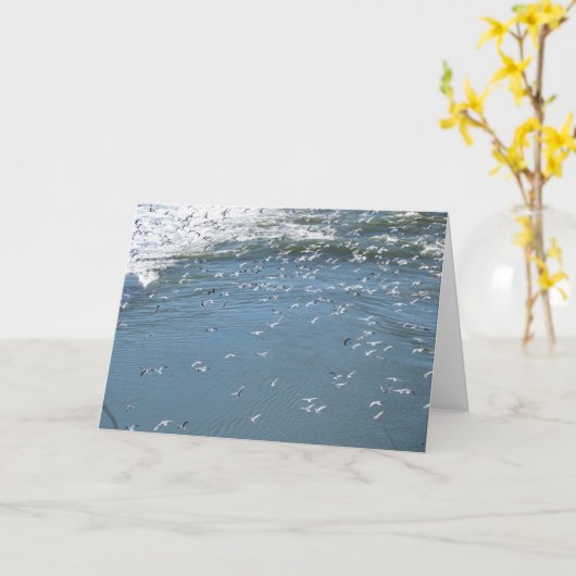 Carte - salutation - Vous nous manquez... (Fleur jaune)