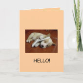 Carte Salutations ! (Devant)