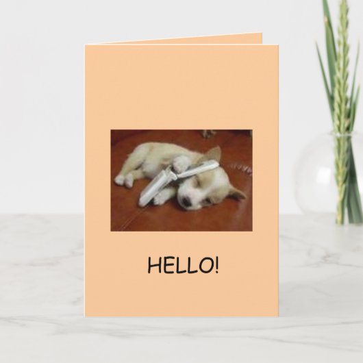 Carte Salutations ! (Devant)