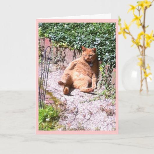 Carte Salutations à la chatte (Fleur jaune)