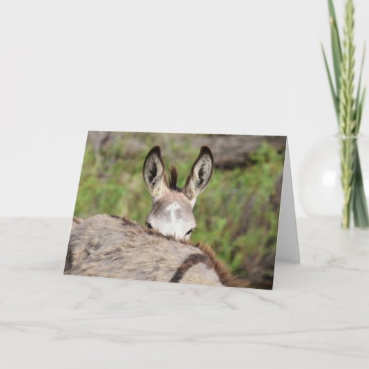 Carte Salutations d'ânes sauvages (Devant)