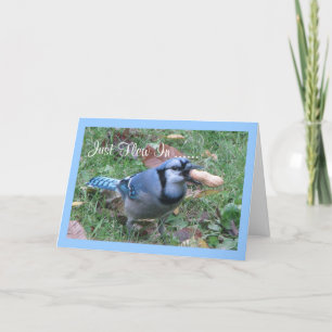 Carte Salutations d'anniversaire de geai bleu