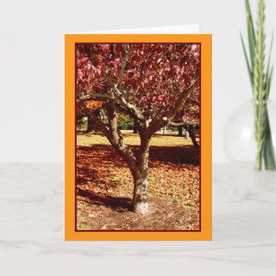 Carte Salutations d'automne