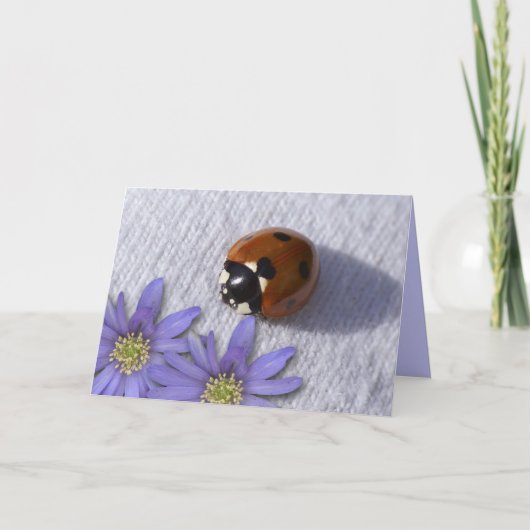 Carte Salutations de bogue de la dame (Devant)