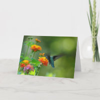 Salutations de Hummer d'été