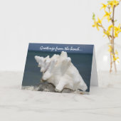 Carte Salutations de la conque Shell de plage (Fleur jaune)