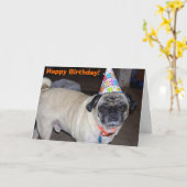Carte Salutations de Puggy : Anniversaire (Fleur jaune)