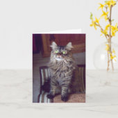 Carte Salutations de ragondin du Maine (blanc) (Fleur jaune)