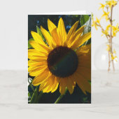Carte Salutations de tournesol - Blanc à l'intérieur (Fleur jaune)