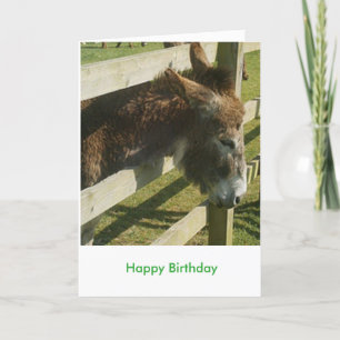 Carte Salutations Donkey