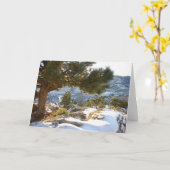 Carte Salutations du Colorado (Fleur jaune)