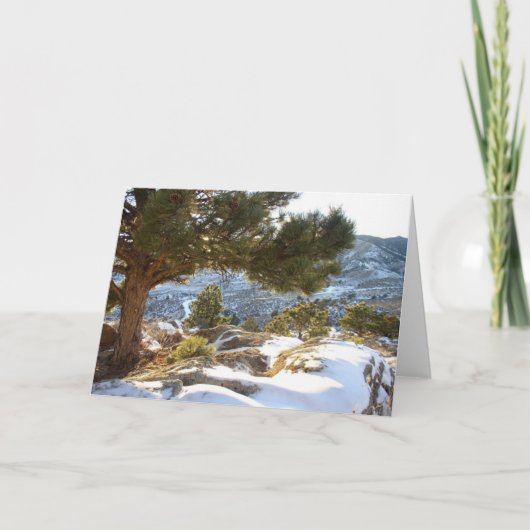 Carte Salutations du Colorado (Devant)