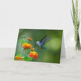 Carte Salutations ! D'Un Hummer D'Été !
