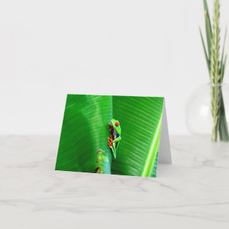 Carte Salutations d'une grenouille aux yeux rouges