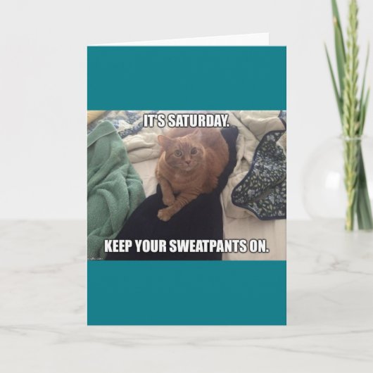 Carte Salutations hippies d'anniversaire de poussin (Devant)