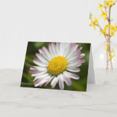 Carte Salutations Mini Daisy (Fleur jaune)
