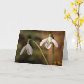 Carte Salutations Snowdrops (Fleur jaune)