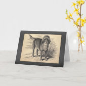 Carte Salutations vintages d'Otterhound (Fleur jaune)