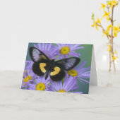 Carte Sammamish Washington, photo du papillon 13 (Fleur jaune)