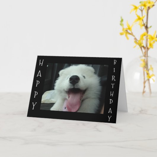 CARTE SAMOYED DIT SAVE ME GÂTEAU/I LOVE U'ANNIVERSAIRE S (Fleur jaune)