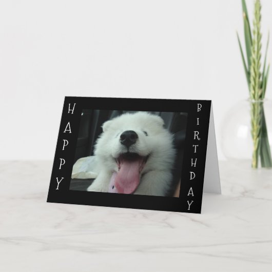 CARTE SAMOYED DIT SAVE ME GÂTEAU/I LOVE U'ANNIVERSAIRE S (Devant)