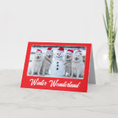 Carte Samoyeds et Snowman (Devant)