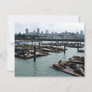 Carte San Francisco et Otaries de Pier 39 Ciel de la Vil