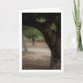 Carte San Vicente Park Lliria, Valence (Devant)