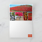 CARTE SANADA YUKIMURA (Intérieur)