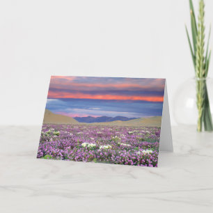 Carte Sand Verbena & Dune Primrose Fleurs sauvages au co