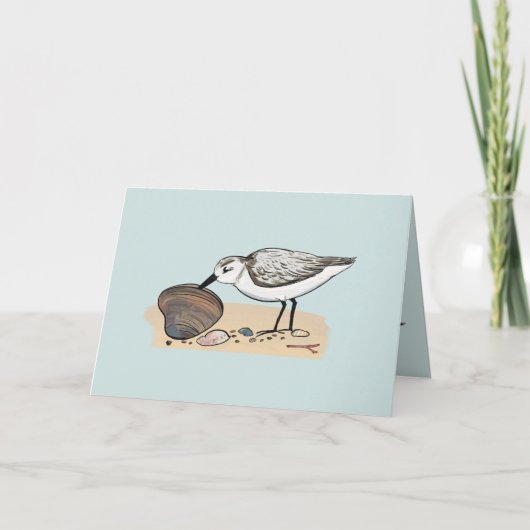 Carte Sanders Sanderling (Devant)
