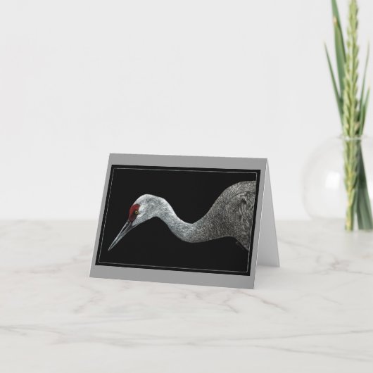 Carte Sandhill Crane (Devant)